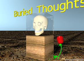 the skull is inside the glass cube.
the ground is dirt.  The glass cube is on the wooden block.

The tiny gold "Buried Thoughts" is above the cube.

The large rose blossom is in the ground. It is two inches to the right of the block. 