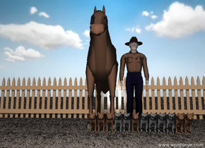 a cowboy is behind twelve cats. a horse is next to the cowboy. the ground is grass. the sky is partly cloudy. a wide fence is behind the horse. the horse and the cowboy and the cats are unreflective.