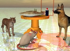 The cup is on a  table. 
The shiny mirror is behind the cup. There is red light to the right of the cup. There is a green light to the left of the cup. The ground has shiny tile texture.
The dog is to the right of the table. The cat is to the left of the table. There is a big rat in front of  the table. The rat is facing the dog. The dog is facing the rat.The cat is facing the rat. The food is on the table.