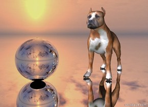 the  dog. the silver sphere is 3 inches left of the dog. the silver ground. the dog is facing southwest.