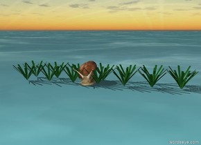 The snail is in the grass on the water