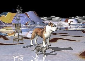 the dog is 6 inches above the shiny tall ground. the cat is next to the dog. it is on the ground.

the ground has a klee texture. the texture is 100 feet wide.

the sky is black.

the 3 foot tall rainbow windmill is a foot behind the dog.