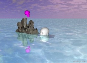 it is morning .
the fuchsia skull one inch above the rock .

the big white head one feet from the rock facing north .

the big white head is -8 inch above the ground .


the ground is shiny aquamarine water .

