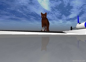 the dog is on the long road. 
a huge cat behind the dog.
cars