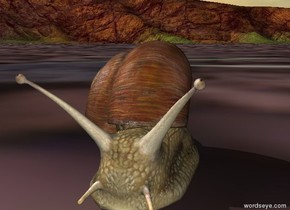 Snail on the  slope