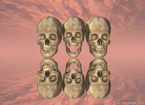 the skull is next to another skull.
another skull is next to the skull.

the ground is silver.


