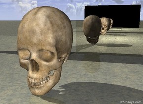 the huge skull is five feet in front of the silver wall. another silver wall is six feet in front of the skull.

the ground is stone.