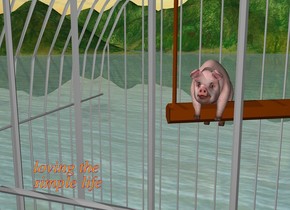the cage is 0 feet off the ground.
the cage is 20 feet tall.
the pig.
the pig is 10.7 feet above the ground.
the pig is -7.5 feet to the left of the cage.
the pig is -8.5 feet behind the cage.
the pig is leaning back.
the sky is sunny.
the boat is under the cage.