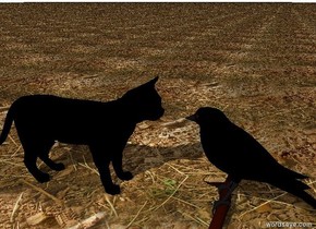 the black cat. the ground is dirt. it is cloudy.  the large black bird is  3 inches in front of the cat. it is facing the cat.