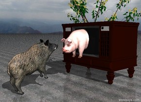 the huge television is 4 feet in front of the big boar. it is facing back. the ground is dirt. the small tree is in the television. the boar is leaning backwards.

the large pig is behind the tree. it is facing backwards.
