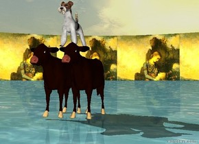 A dog is standing on the cattle. There is noise in the background. The ground is water.