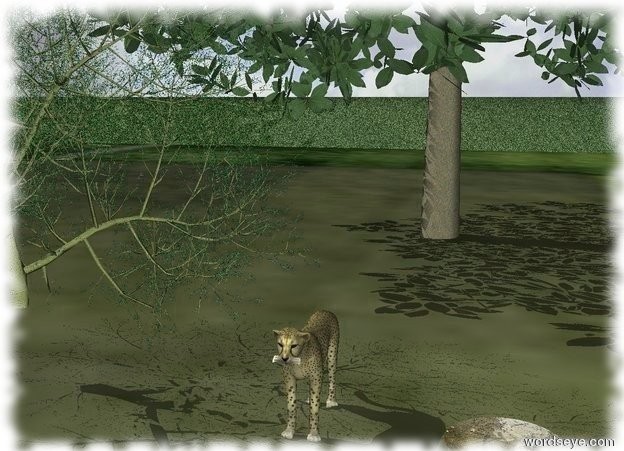 Input text: A big cat in the field.
the ground is grass.
the tree on the left of the big cat.
the second tree behind of the tree.
it is 3 feet behind the big cat.
a puddle. it is 3 feet on the right of the big cat.the puddle has the [poddle] texture

