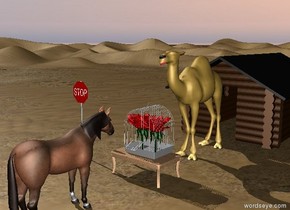 The flowers fit inside the big cage. The cage is on top of a table.The camel is behind the cage on the ground. There is a house on the ground behind the camel. There is a horse 2 feet in front of the table. The horse is facing north.
There is a sign 4 feet to the left of the table.