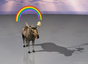 Gigantic moose under rainbow. 
