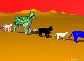 The black cat. The white cat is in front of the black cat. The blue cat is in front of the white cat. The orange cat is in front of the blue cat. The red cat is in front of the cat. The green cat is behind the black cat. The pink cat is behind the green cat. The purple cat is behind the pink cat. The grey cat is behind the purple cat. The yellow cat is behind the grey cat. The sky is red. The ground is orange. The very small Warriorcat303 is on the right side of the green cat.

