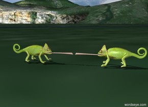 The first chameleon is facing the second chameleon. The second chameleon is facing the first chameleon.