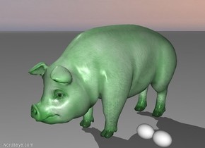 green pig and eggs