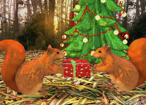 a 1st 2 foot tall squirrel is facing right. it is 0 inches above a [leaf] floor. a 2nd 2 foot tall squirrel is 1 foot to the right of the 1st squirrel. the 2nd squirrel is facing the 1st squirrel. a christmas tree is 0 inches above and -8 feet behind and -9 feet to the right of the  floor. a [forest] wall is -.1 inch behind the floor. a 6 inch tall present is -1 inch to the right of the 1st squirrel. it is .8 foot over the ground. the ambient light is dim linen. the camera light is gold. a copper light is 1 inch over the 1st squirrel. a mauve light is 1 inch over the 2nd squirrel. the sun is dim copper.