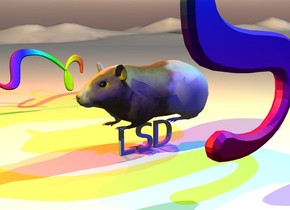 the guinea pig is on the very tiny "LSD". the guinea pig is facing left. the ground is white. the bright red light is 7 inches above and 10 inches behind the guinea pig. the bright green light is 7 inches above and 10 inches to the right of the guinea pig. the bright blue light is 7 inches above and 10 inches in front of the guinea pig. the bright yellow light is 7 inches above and 10 inches to the left of the guinea pig. it is morning. the camera light is black. the small rainbow zeta is 1.5 foot behind the guinea pig. it is leaning 90 degrees to the left. the rainbow xi is 7 inches in front of the guinea pig. 