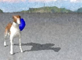 the dog is next to a balloon