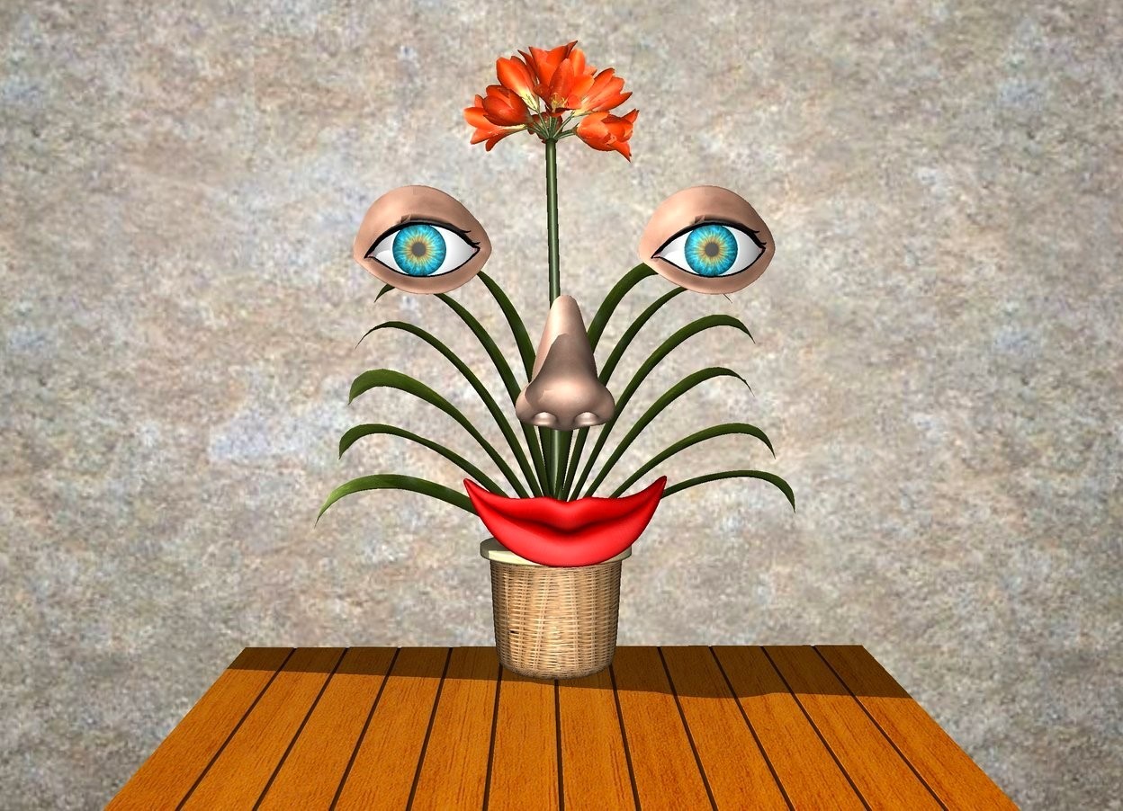 Input text: There is a kitchen table.
A wall is behind the kitchen table. There is a large smile a foot above the table. There is a large nose 4 centimeters above the smile. there is a large eyeball on top of the nose. The eyeball is 2 centimeters to the left of the nose. there is a 2nd large eyeball on top of the nose. the 2nd eyeball is 2 centimeters to the right of the nose.
There is a plant in front of the wall. the plant is on the table.