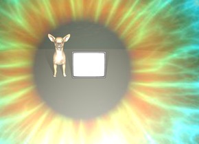 There is a enormous reflective eye. it is evening. There is a tiny tv 3 feet in front of the eye. the tv is facing the eye. There is a dog next to the tv. the dog is facing the eye. the ground is unreflective.