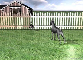 The cat is facing the dog.
The cat is  in front of the extremely long [wood] fence.

The cat is in front of fence.

The ground is grass.

The dog is facing the cat.
The dog is 5 feet in front of and 2 feet to the right of the cat.

The house is 50 feet behind the fence.
The house is 1 foot left of the cat.
The house is facing west.

The light is in front of and to the right of the dog.
