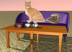 There are two cats on a couch. 
there is a table in front of the couch. the table is facing west.
large cup on the table. 2nd large cup is next to the cup. large cookie is next to the cup. chocolate cake is next to the cup.
the ground is tile.
