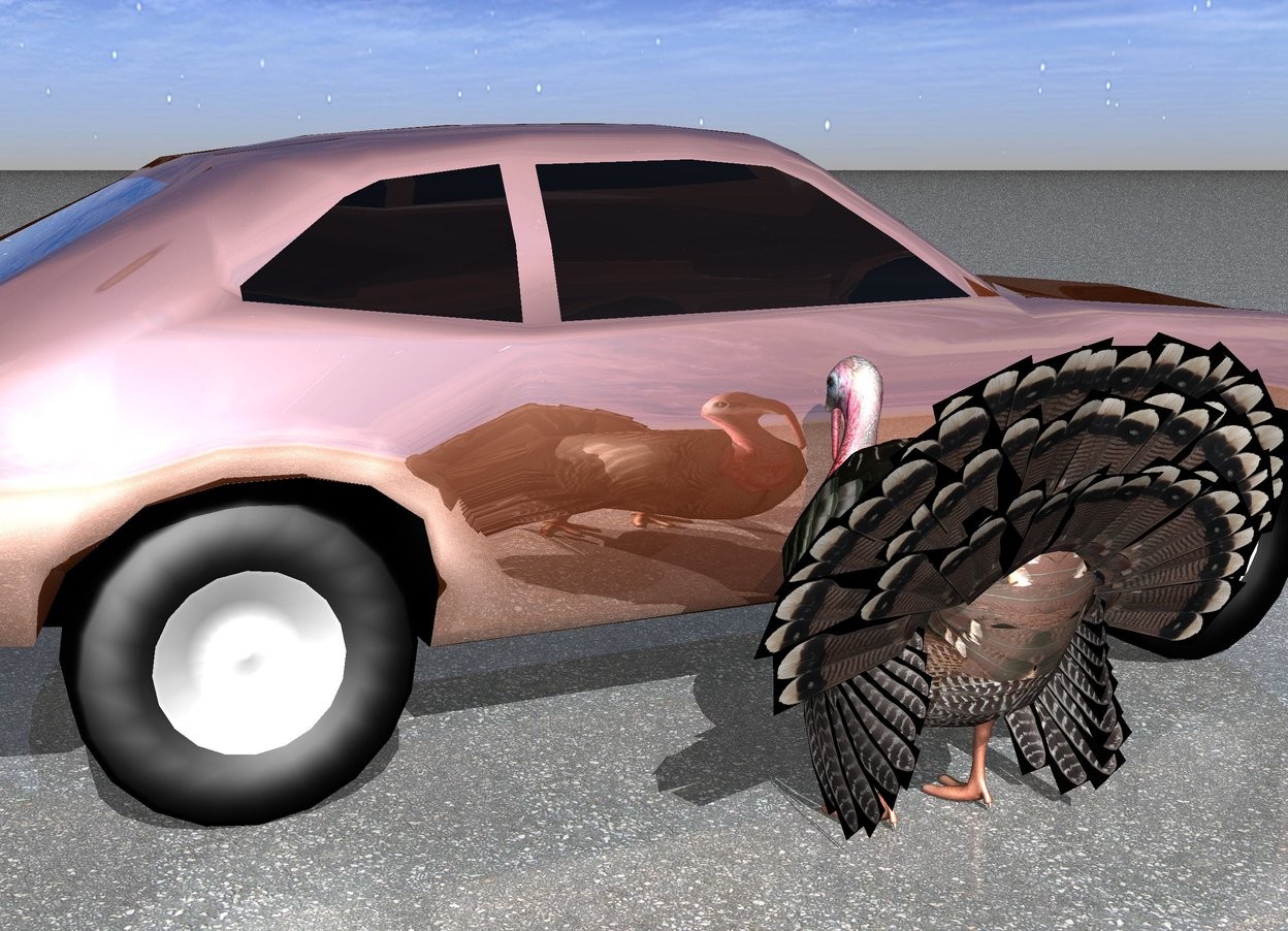 Input text: the turkey is next to the shiny car.

it is facing the car.

the ground is asphalt.

