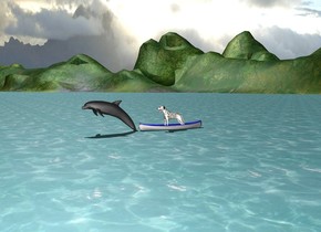  There is dog in a boat on the ocean. Dolphin jump in front of boat.