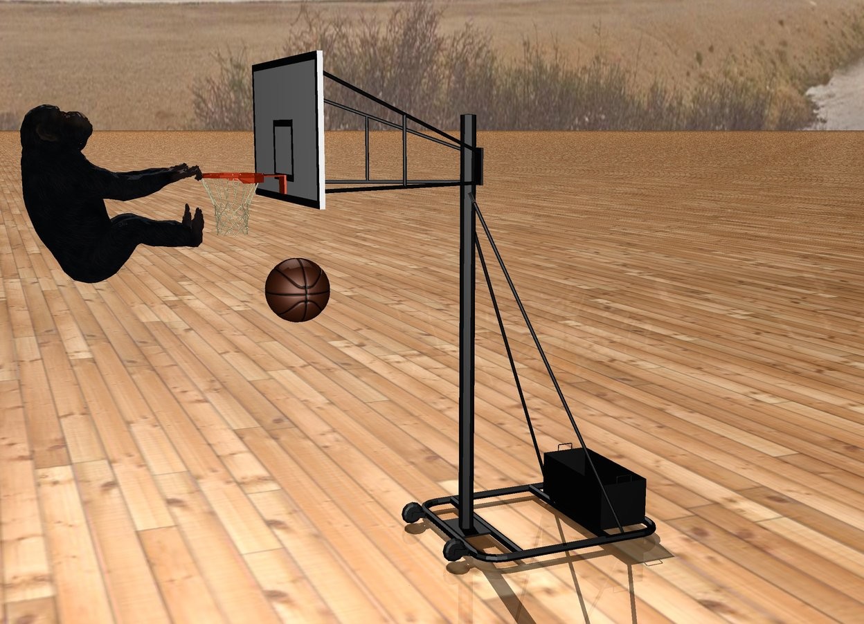 Input text: There is a giant basketball hoop. There is a tiny chimpanzee in front of the basketball hoop.  The chimpanzee is facing the basketball hoop. The chimpanzee is 2.4 feet off the ground. The chimpanzee is facing up. There is a small basketball -1 feet in front of the basketball hoop. The basketball is 2 feet off the ground. The ground is wood.