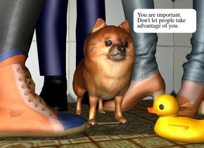the woman is to the left of the pomeranian. she is facing the pomeranian. the man is behind the pomeranian. the girl is to the right of the pomeranian. she is facing left. the tile wall is behind the man. the ground is texture. the small duck is -1 inch in front and -2 inches to the right of the pomeranian. it faces northwest.