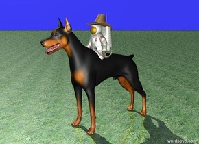 The small astronaut is one foot in the six foot tall doberman. The cowboy hat is one foot in and of the astronaut. The ground is grass. The sky is bright blue.