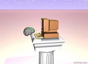 The Computer is on top of the pedestal.The ground is pink. There is a green light above the computer. The brain is in front of the computer. The brain is facing the computer.
