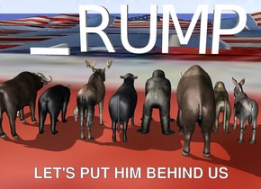 The very huge "T" is to the left of the very huge "RUMP". The 12 animals are 50 feet in front of the "RUMP". They are facing backwards. The "T" is face down. The [flag] texture is on the ground. The texture is 100 feet tall.