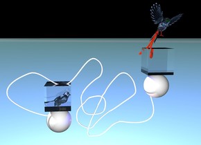 A shiny white rope is 30 inches above the ground. The ground is 5 feet tall. The sky is 1 feet tall. The ground is [poly3]. The rope is facing up. A navy light above the rope. A pink light behind the rope. A 1st sphere -7 inches in front of the rope. The sphere is 33 inches above the ground. The sphere is -30 inches to the left. A 2nd sphere -4 inches in front of the rope. The sphere is 50 inches above the ground. The sphere is -7 inches to the right. A orange light 2 inches above the sphere. A big translucent pink sparrow above the 1st sphere. The sparrow is facing east. A clear cube -10 inches in front of the sparrow.A translucent pink big bird is 5 inches above the 2nd sphere. the bird is facing south. the bird is leaning 20 degrees to the left. A navy light on the bird. A 2nd clear cube -7 inches under the bird.