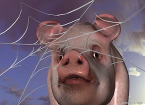 a spider web. a small pig is behind the web.