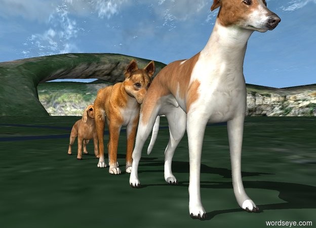 Input text: the first dog is behind the second dog. the second dog is behind the third dog