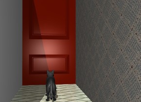 A cat is facing a door. the ground is tile. the door is facing east. the cat is 2 feet from the door. there is a wall behind the door. there is a wall in front of the door. the wall is texture.