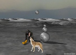 The wolf is on the moonscape. there is a gorilla 10 feet behind and 3 feet to the left of the wolf. There is a giant banana in front of the gorilla. There is a giant moon 3 feet to the right of the gorilla. There is a large moon on top of the giant moon. there is a moon on top of the large moon. a   full moon is 6 feet above the wolf. a large child is on the top left portion of the wolf.