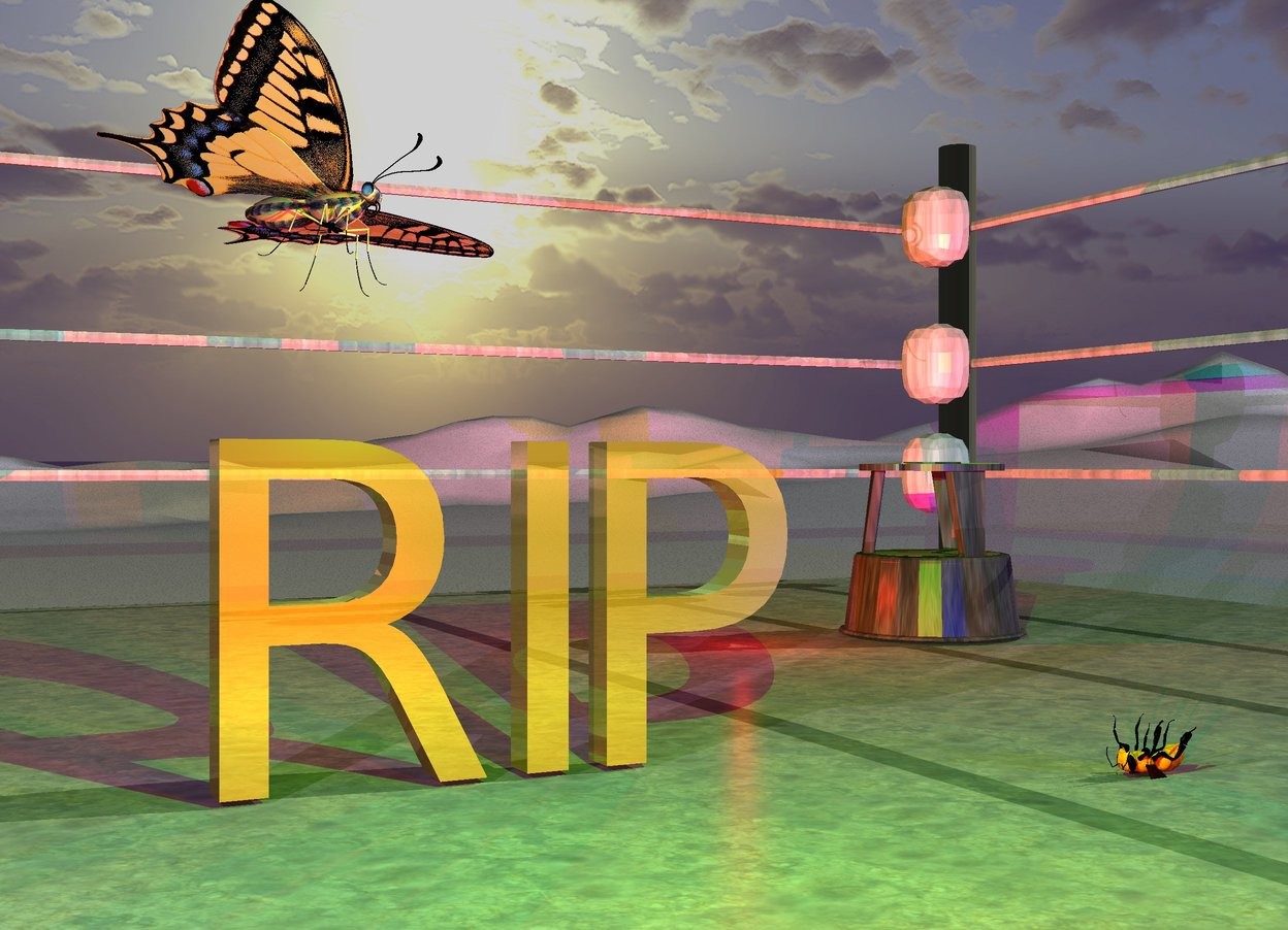 Input text: The gold "RIP" is on the [texture] boxing Ring. The very large butterfly is 4 inches above and -20 inches to the left of the "RIP". It is facing southeast. it is leaning to the left. The huge bee is 1 foot in front of and a foot to the right of the "RIP". It is facing left. It is upside down. It is -2 inches above the bottom of the "RIP". The [newspaper] ground. The lime light is above and 2 feet in front of the "RIP". The mauve light is two feet to the left of the lime light. The red light is 3 feet in front of the "RIP". The camera light is black. it is morning. The blue light is 3 feet to the right of the red light. The wood stool is 3 feet  to the right and 3 feet behind the "RIP". The second red light is 6 inches to the left of the stool.