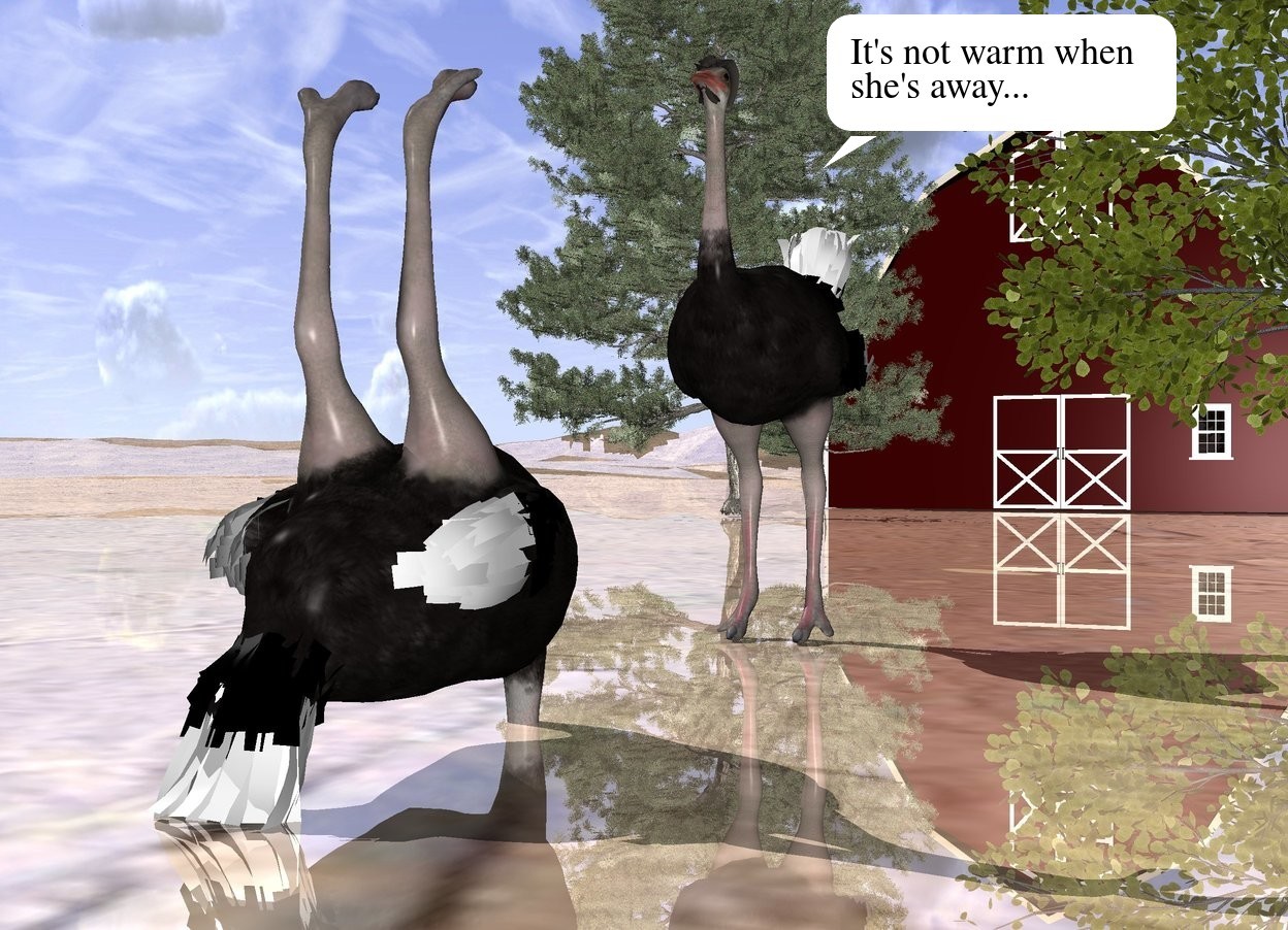 Input text: the first small ostrich is 30 feet in front of the small barn. the second small ostrich is 2 feet in front of the first ostrich. it is facing the first ostrich. the second ostrich is upside down. the second ostrich is 1 feet in the ground. the ground is shiny dirt. three small trees are in front of the barn. 