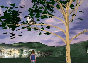 A cat is on a tree. a woman is in front of the tree. the woman is facing north. the woman is 7 feet to the left of the tree.
