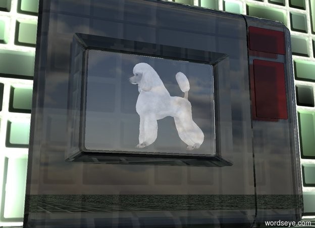 Don't dry poodle in microwave oven by KAWE (on WordsEye)