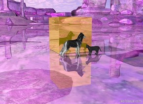The dog is facing on the cat. The cat is facing on the dog. The ground is purple and shiny. There is a huge gold cube one foot behind the dog and the cat. 