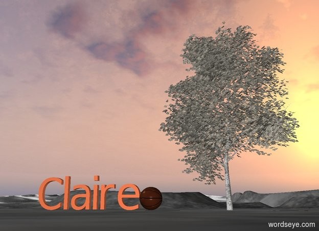 Input text: Coral "Claire".
tiny tree to the left.
Basketball 2 feet to the right.
.


