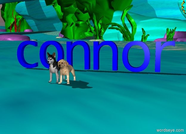 Input text: puppies.
the blue "connor" is 2 feet behind the puppies.



