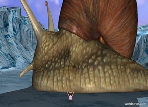 The man faces the humongous snail. It is 100 feet tall and 100 feet wide and 100 feet long. The snail is 6 feet away from the man. 


