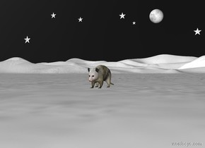 The sky is black.
The ground is snow.
An opossum.
The white moon is 10 feet behind the opossum.
The moon is 4 feet above the ground.
A white star is 1 feet left of the moon.
The star is 3 inches tall.
A white star is 6 inches left of the star.
The star is 6 inches tall.
The star is 4.5 feet above the ground.
A white star is 3 feet left of the star.
The star is 5 inches tall.
A white star is 2 feet left of the star.
The star is 6 inches tall.
The star is 5 feet above the ground.
A white star is 2 feet left of the star.
The star is 8 inches tall.
The star is 3 feet above the ground.
A white star is 2 feet right of the moon.
The star is 6 inches tall.
The star is 3 feet above the ground.