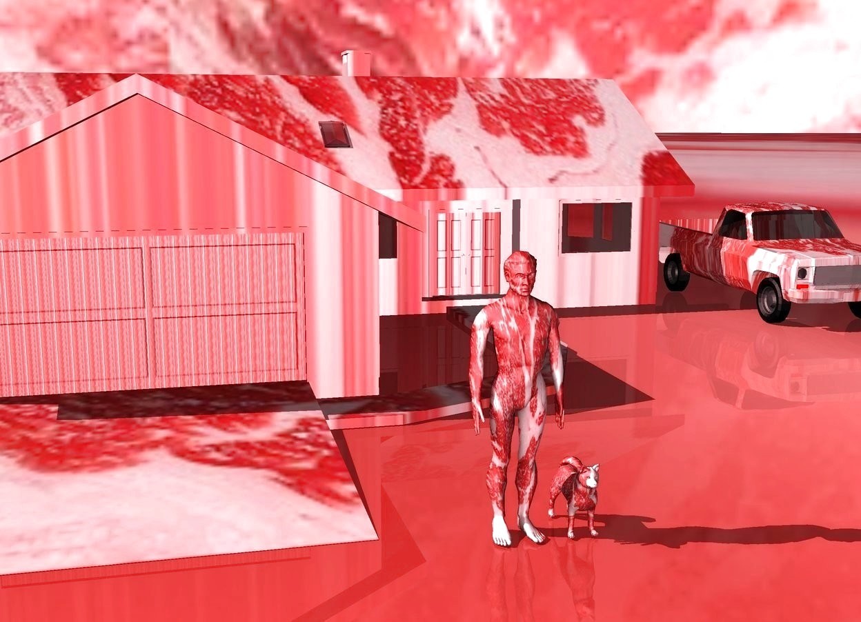 Input text: the ground is [meat]. the sky is [meat]. there is a [meat] house. a [meat] man is in front of the house. a [meat] dog is to the right of the man. a [meat] truck is to the right of the house. the sun is pink. the camera light is pink.
